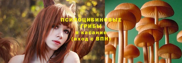 ECSTASY Пересвет