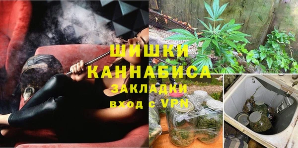 PSILOCYBIN Переславль-Залесский