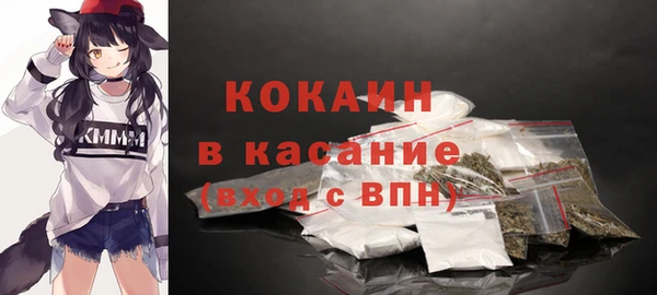 ECSTASY Пересвет