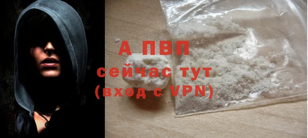 гашик Пестово