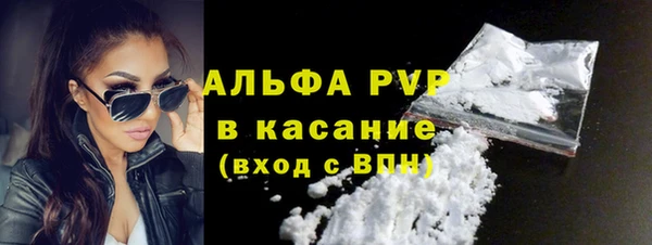 ECSTASY Пересвет