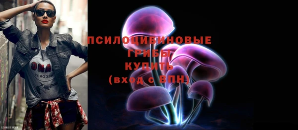 гашик Пестово