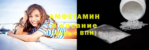 гашик Пестово