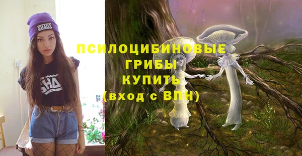 гашик Пестово