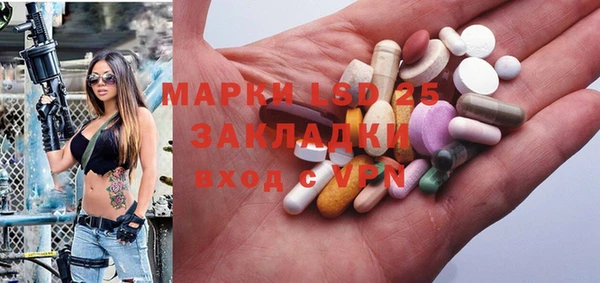гашик Пестово