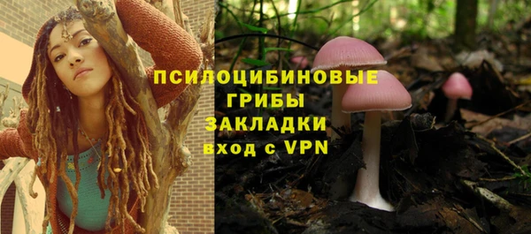 PSILOCYBIN Переславль-Залесский