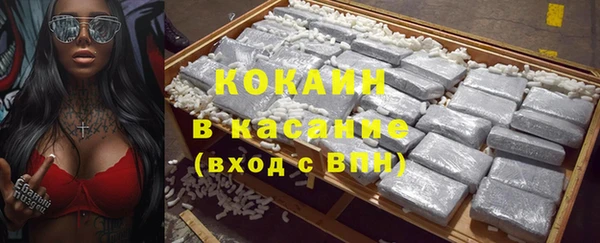 ECSTASY Пересвет