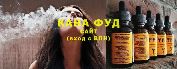 гашик Пестово