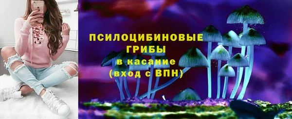 гашик Пестово